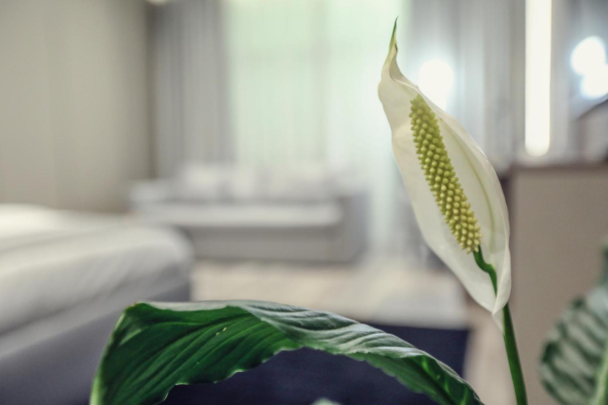 Hotel Dirista Shkodër 외부 사진